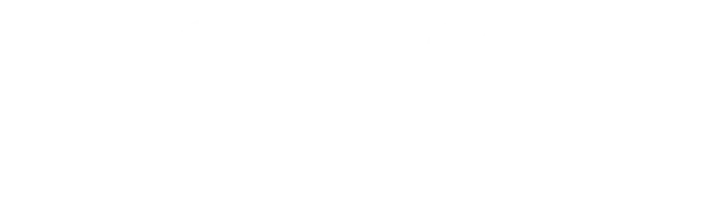 Bucharest Party logo